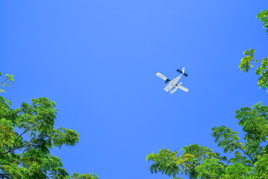 Airplane over Trees